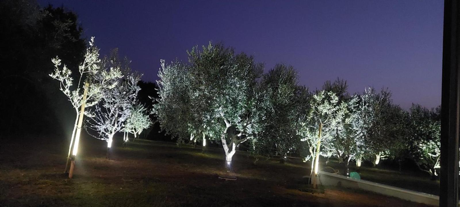 Hacienda Matea - Jacuzzi, Pool, Playground & Bbq In An Olive Grove Near Beaches, - Istria *