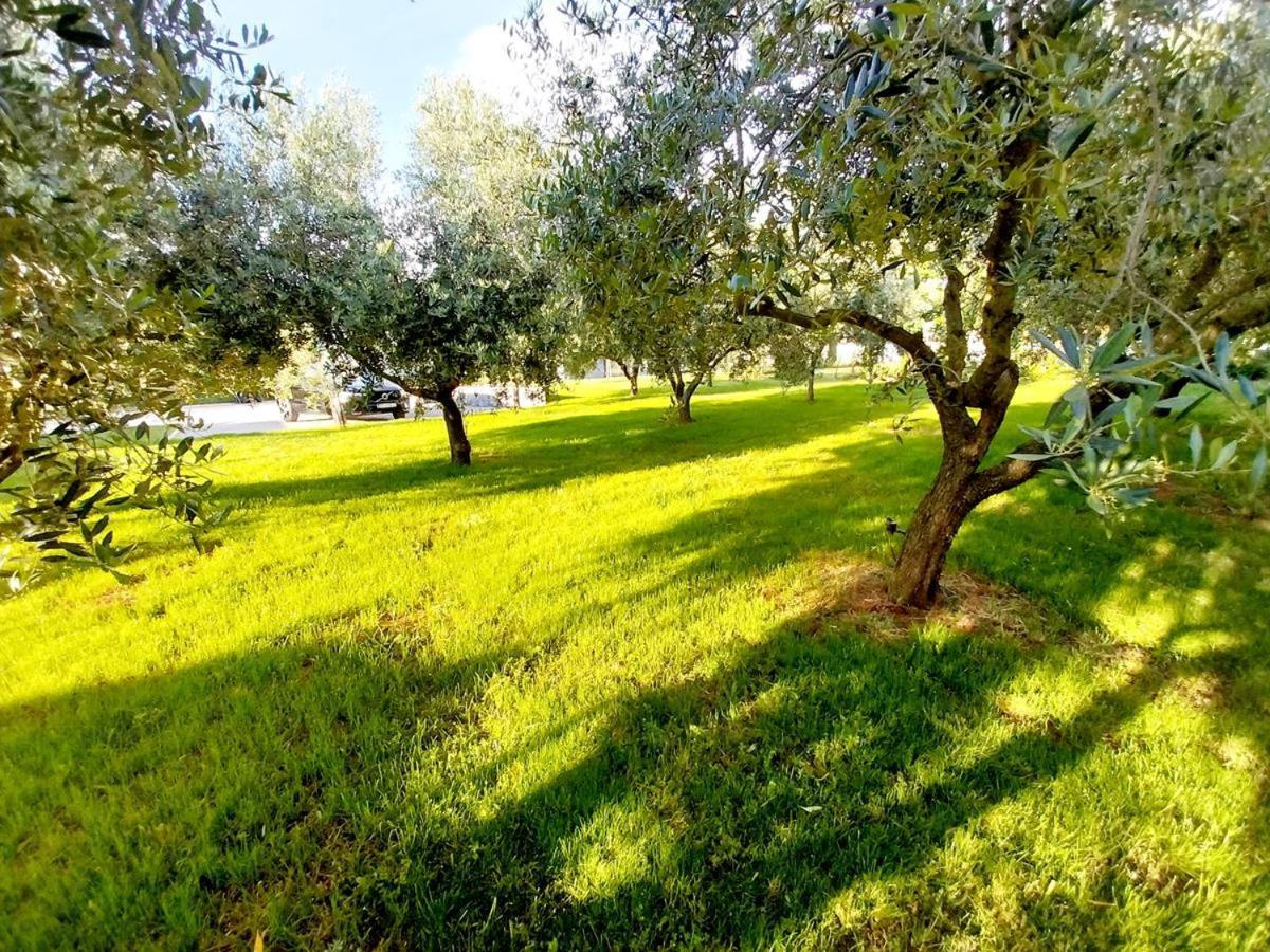 Hacienda Matea - Jacuzzi, Pool, Playground & Bbq In An Olive Grove Near Beaches, - Istria *