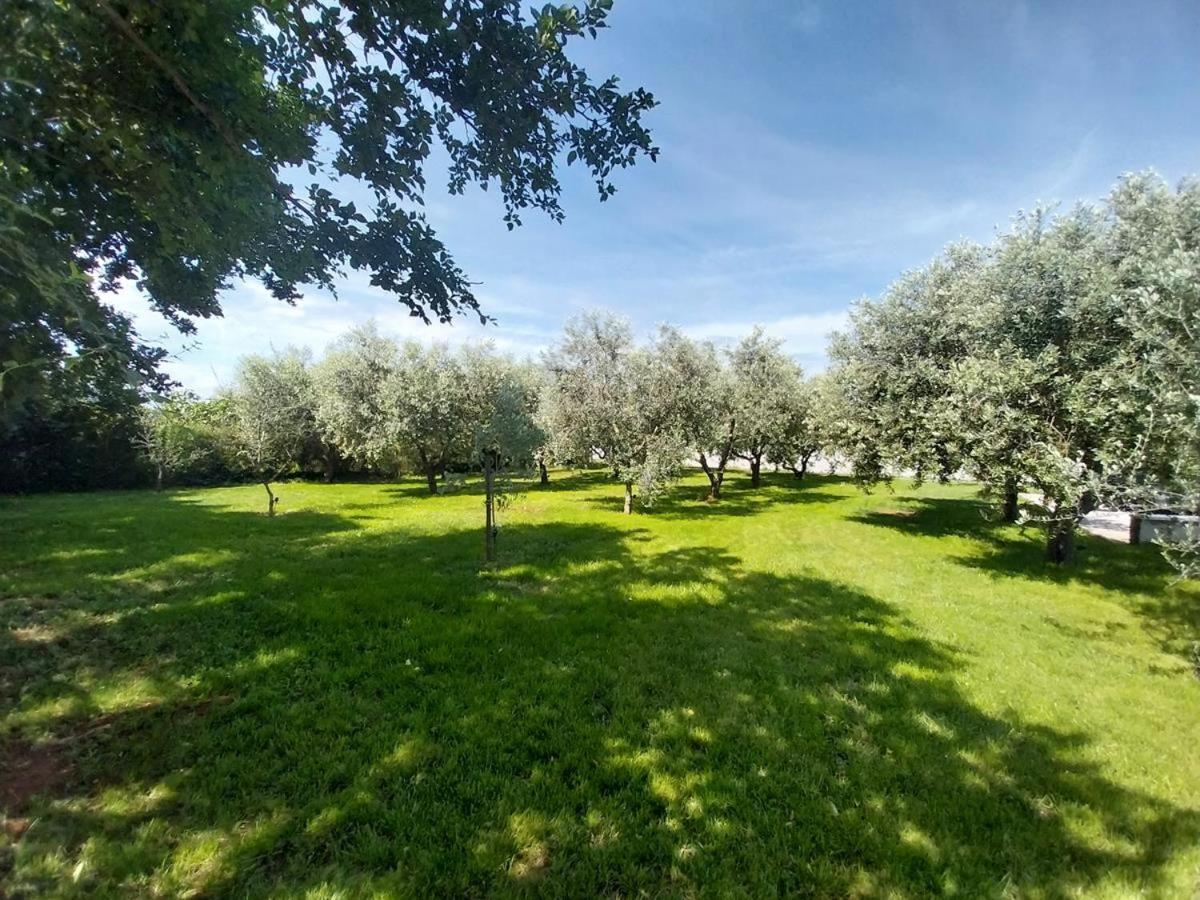 Hacienda Matea - Jacuzzi, Pool, Playground & Bbq In An Olive Grove Near Beaches, - Istria * Pula